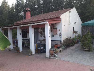 UrbaMarkt