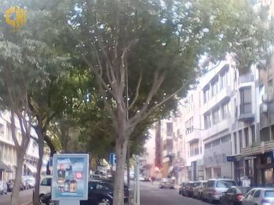 UrbaMarkt