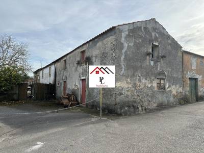 UrbaMarkt