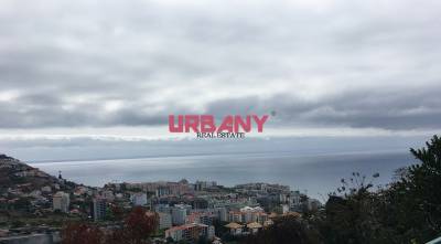 UrbaMarkt