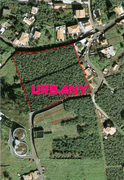UrbaMarkt